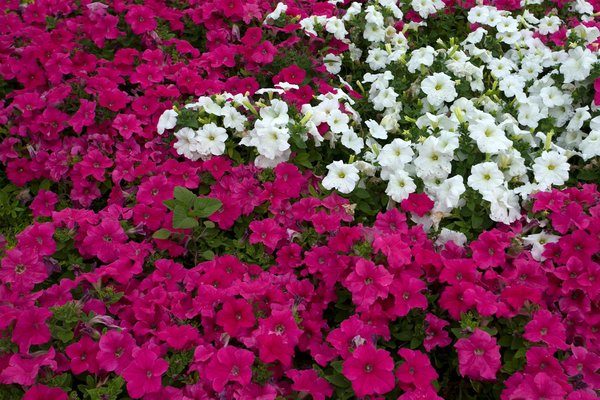 Mobilier de jardin: DIY ou achat ?