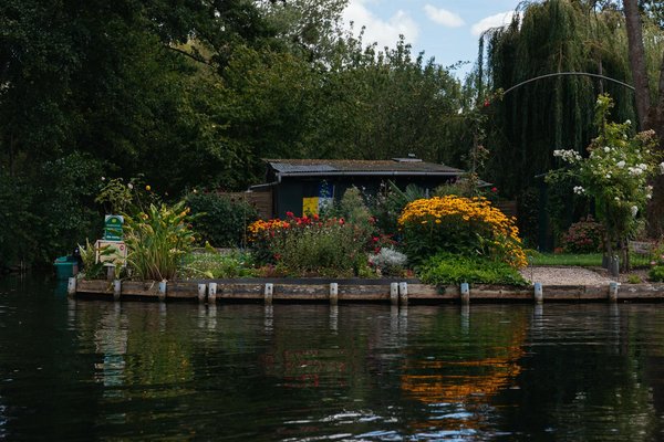 Recycler l'eau de votre piscine hors sol : mode d'emploi